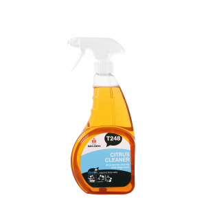 Citrus Orange Cleaner Trigger 6 X 750ml | T248