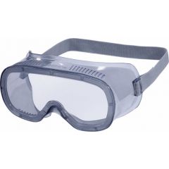 Delta Plus MURIA1 Polycarbonate Goggles Available in Clear