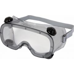 Delta Plus RUIZ 1 Polycarbonate Goggles Available in Clear