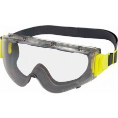 Delta Plus SAJAMA Polycarbonate Goggles Available in Clear