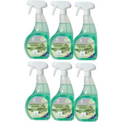 Selden Ecoflower Window Cleaner 6x750ml